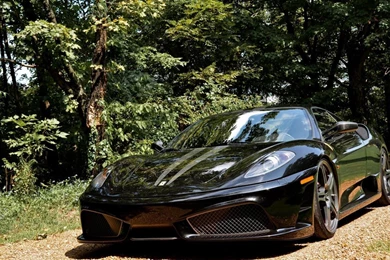 Ferrari Black In The Tree Front View ~ Cars Wallpapers HD