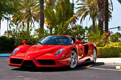 Download Wallpapers 1366x768 Ferrari, Enzo, Red Laptop 1366x768 HD ...