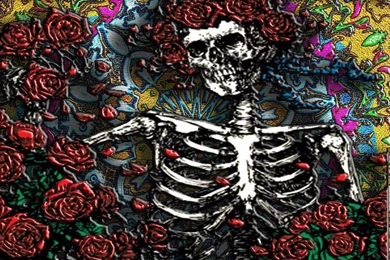 Free Grateful Dead Desktop Wallpapers Myspace Backgrounds