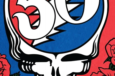 Download Wallpapers 1080x1920 Grateful Dead, Santa Clara, Skull ...