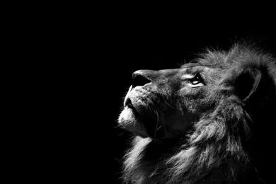 Black And White On Pinterest