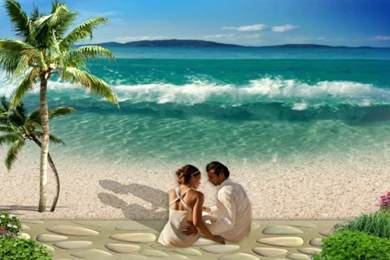 View, Natural Images, Flowers, Cute Desktop Images, Field, Windows ...