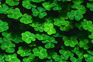 Photography HD Wallpapers   Page 11