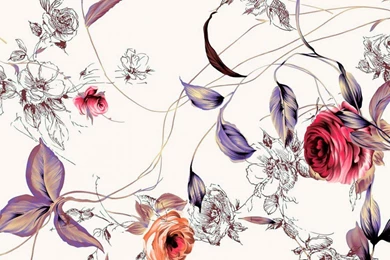 Top Desktop Images Of Roses Images For Pinterest