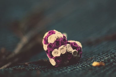 Love Archives   Page 6 Of 7   HD Wallpapers Source