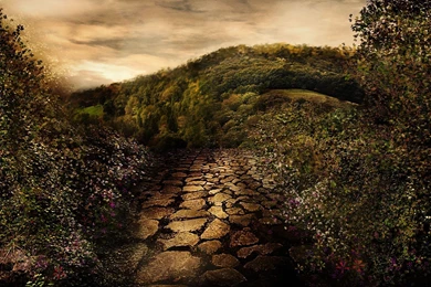 Tazmaa, Fantasy, Art, Mushroom, Moonlit, Night, Backgrounds ...