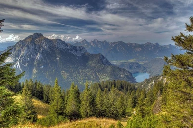 Download Wallpapers 1920x1080 Sky, Tops, Coniferous Forest, Height ...