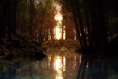 Nature Wallpapers Hd   1337424