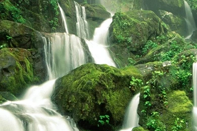 1080x1920 Beautiful Waterfall Cool Forest Wallpapers HD