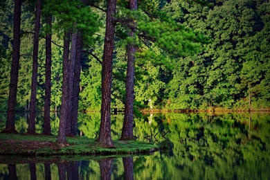 175 "Nature" HD Wallpapers