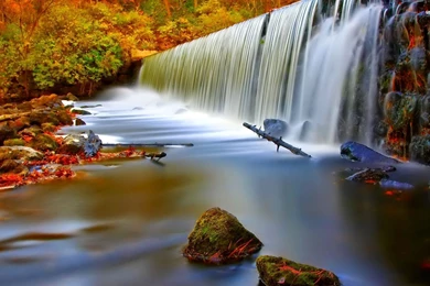 Wonderful Waterfall In The Forest Wallpapers