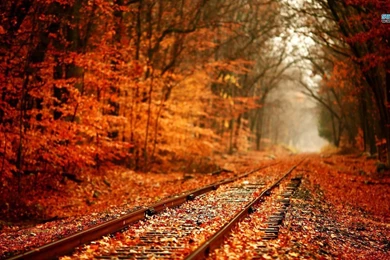 Railway In Autumn Wallpapers   Photography Wallpapers