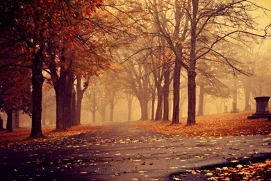 1366x768 Park In Autumn Desktop PC And Mac Wallpapers
