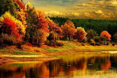 AUTUMN REFLECTIONS WALLPAPER   (