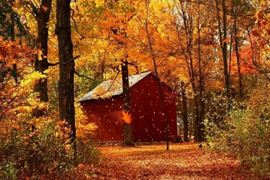 Download Wallpapers 1366x768 Leaf Fall, Autumn, Garage, Wood, Trees ...