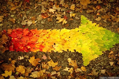 Beautiful Autumn Wallpapers Seasonal Crazy Frankenstein