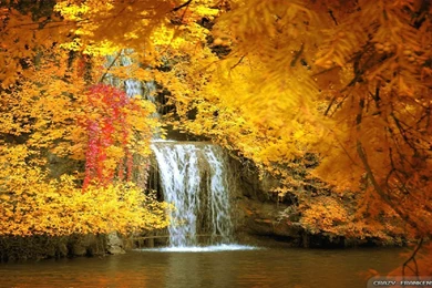 Beautiful Autumn Wallpapers   Seasonal   Crazy Frankenstein