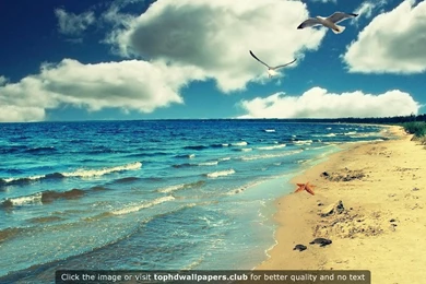 Page 2 Of Best 1080p 4K Or HD Wallpapers