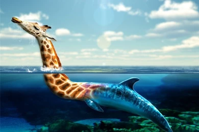 It's The Majestic Dolraffin (The Lochness Monster)   Worth1000 ...