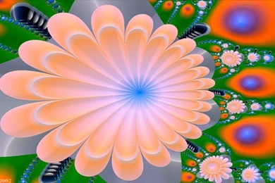 HD Wallpapers Groups (High Definition)