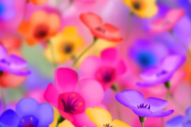 3D Flowers Wallpapers   Totalinfo90