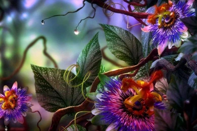 Top 10 3D Abstract Flowers Wallpapers.jpg