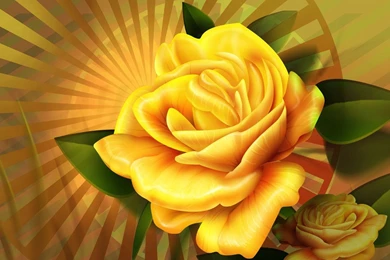 3d hd wallpaper beautiful flower image.jpeg