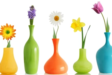 HD Flowers Wallpapers