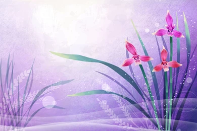 Synthetic Flowers HD Wallpapers   HD Images New