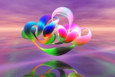 Flower Wallpapers Hd Free Download   Wallpapers HD Fine