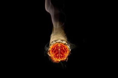 Smoke Brain Cigarettes Photomanipulations Fresh New Hd Wallpapers ...