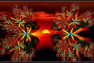 Wild Plant Desktop Wallpapers Hd