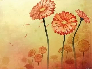 HD Wallpapers: Flowers Wallpapers