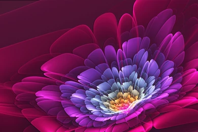3d Digital Flower Wallpapers