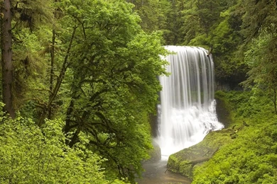 300 Full HD Best Nature Wallpapers 1920x1080p   Photo 127 Of 299 ...