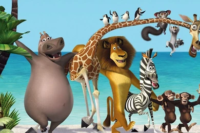 Download Madagascar Cartoon Giraffe Zebra Three Wallpapers ...