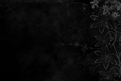 Text Funny Wallpapers Computer Desktop Free