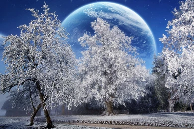 Winter Season HD Wallpapers