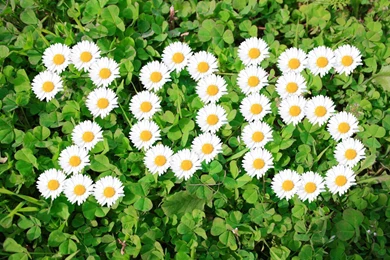 Latest Nature Wallpapers 2015 HD