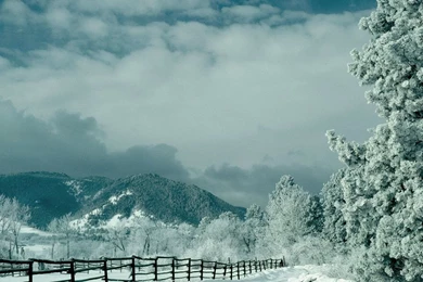 Fonds D'écran Lenovo   Page 5