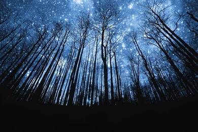 Starry Night Desktop Backgrounds