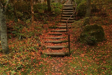 Download Wallpapers 1920x1080 Stairs, Fall, Foliage Full HD 1080p ...