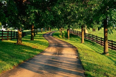 3d Nature Wallpapers Free Download   Latest Wallpapers