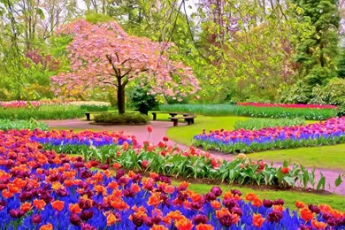 Spring Wallpapers   The Wondrous Pics