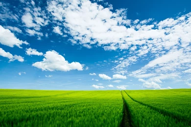 Summer Landscape Wallpapers