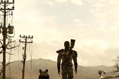 Download IPhones 6s Wallpapers For Free