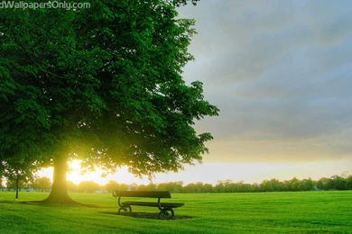 Sunrise Wallpapers 1080p