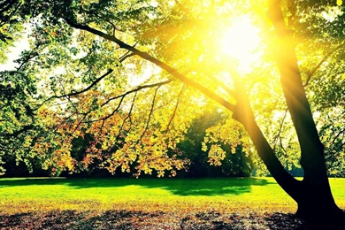 Autumn Sunrise Computer Wallpapers, Desktop Backgrounds ...