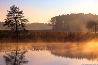 Desktop Backgrounds   Microsoft Windows