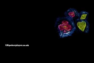 Poker Wallpapers Hd   1754189